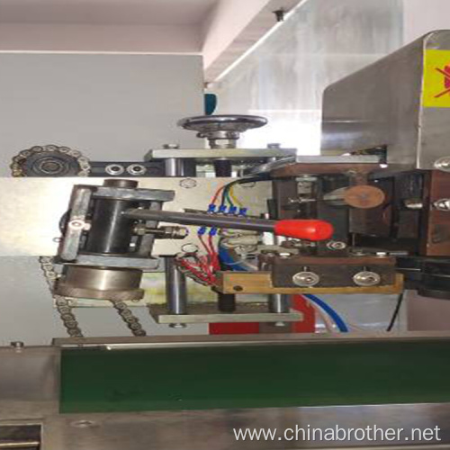 Automatically Double servo biscuits pillow packing machine